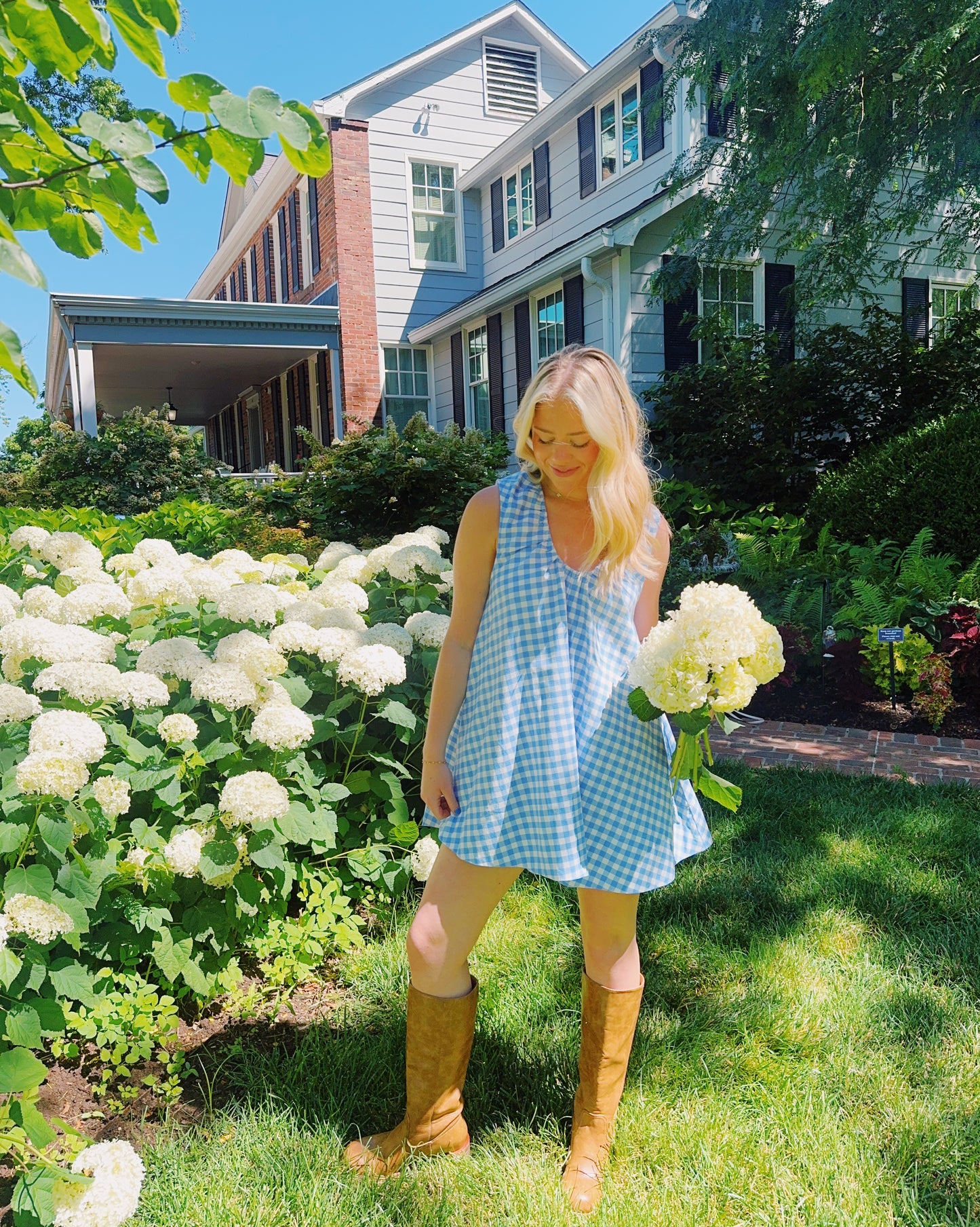 Americana Mini Dress