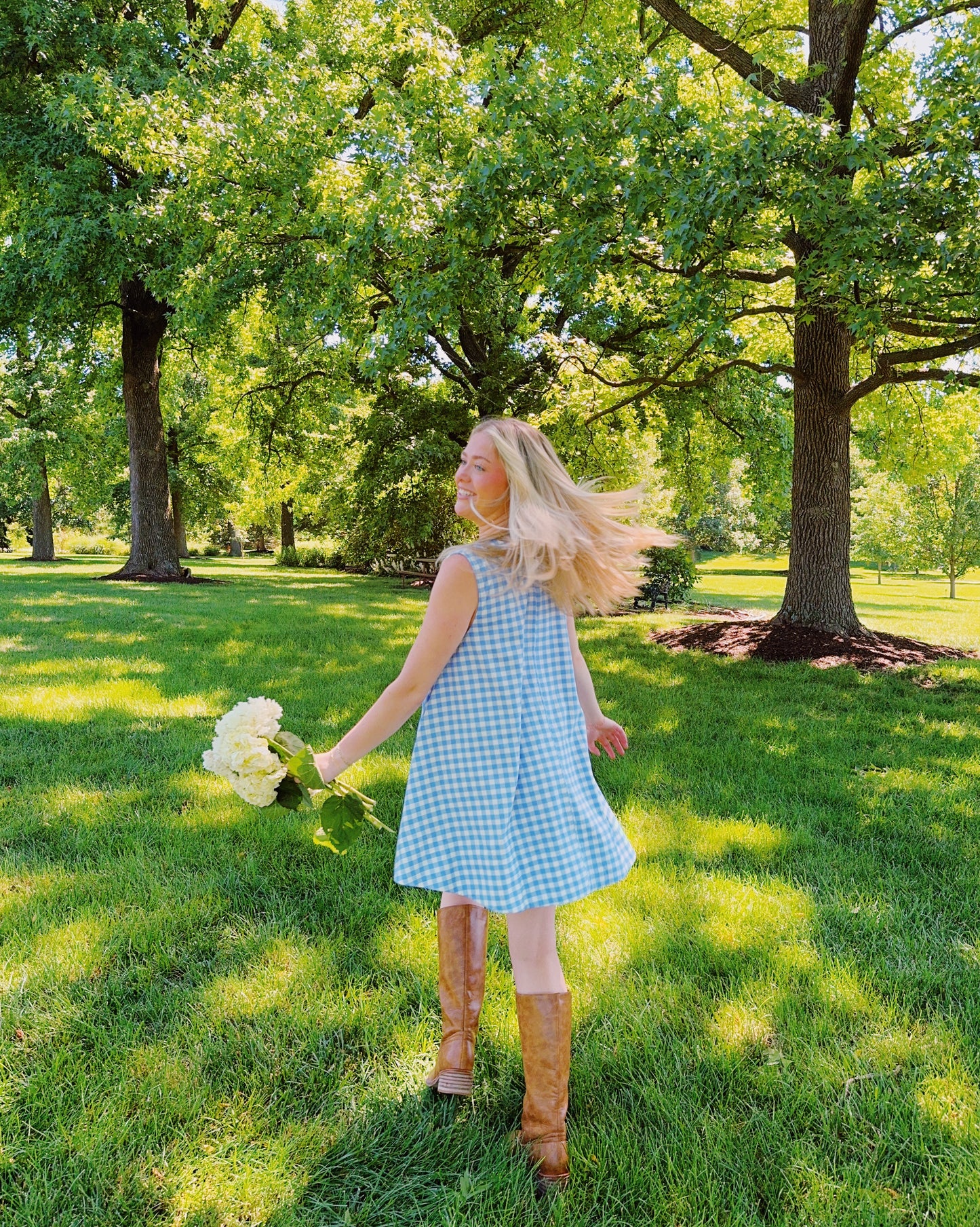 Americana Mini Dress